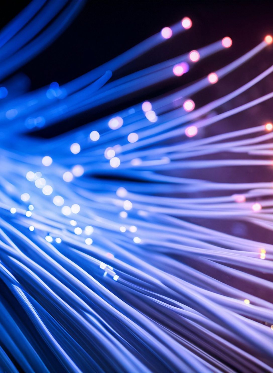 Bundle of fibre-optic strands glowing blue and violet